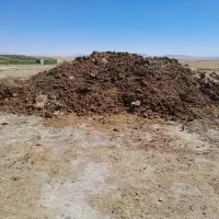 کود گاو گوساله کود پهن
