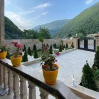 دوبلکس نماسنگ پلاک1جنگل*  310متر سند*|فروش خانه و ویلا|کلاردشت, |دیوار