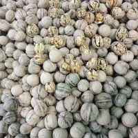گردو تویسرکان|عمده‌فروشی|اصفهان, قائمیه|دیوار