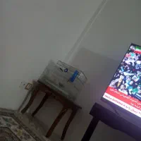 سهره کرمانی مست