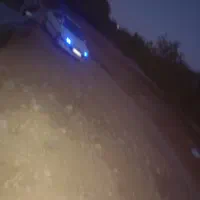 پارس سال