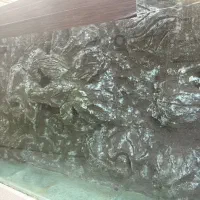 اکواریم حرفه ای|ماهی|سیرجان, |دیوار