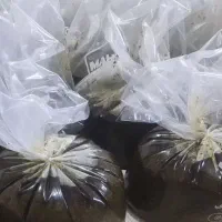 سبزی قورمه سرخ شده