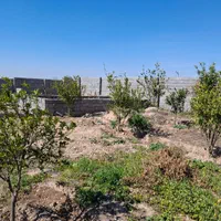 فروش باغچه ۱۰۰۰ متری|فروش خانه و ویلا|اندیمشک, |دیوار