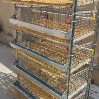 قفس ۵طبقه بلدرچین کبک وجوجه