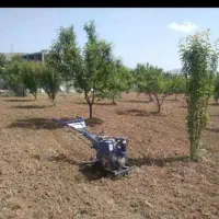 کار با تیلر و هرس باغ