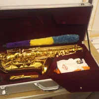 ساکسیفون آلتو سوزوکی|سازهای بادی|تهران, آرژانتین|دیوار