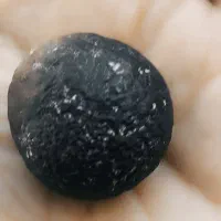 شهاب سنگ|کلکسیون اشیاء عتیقه|کازرون, |دیوار