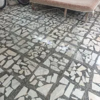 قفس سگ وگربه