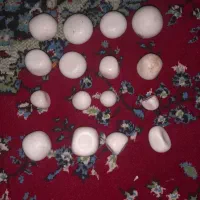 سنگ الماس آسیاب|کلکسیون اشیاء عتیقه|فلاورجان, |دیوار