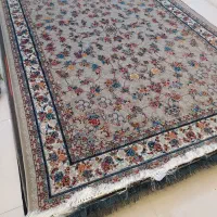 گیلدا فیلی ،نو نو