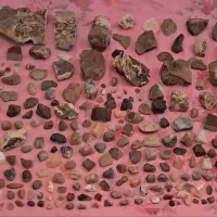 انواع سنگهای زینتی