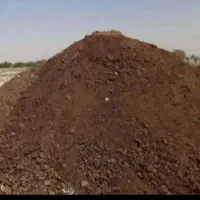 پهن گوسفندی