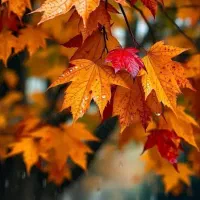 نظافت راه پله و پارکینگ ساختمان