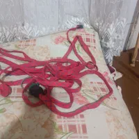 شلنگ اب وتسمه