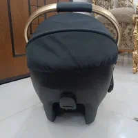 کریر ببکو آلمان|کالسکه و لوازم جانبی|فردیس, سرحد آباد|دیوار