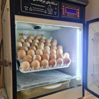 دستگاه & جوجه کشی هدایت ایرانی باضمانت کتبی