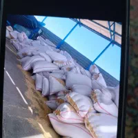 کاه کردستان