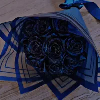 زیبایی کار ها رو ببینید و سفارش بدید.