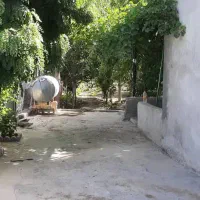 ویلا باغ اجاره ای حسین اباد|اجارهٔ کوتاهمدت ویلا و باغ|بیضا, |دیوار