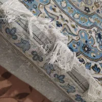 فرش ۱۲متر|فرش|اردبیل, |دیوار