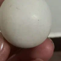 الماس آسیاب واقعی واقعی اصل|جواهرات|یاسوج, |دیوار