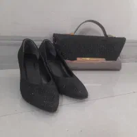 کیف و کفش مجلسی ست
