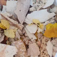 فروش نان خشک ۴کیسه
