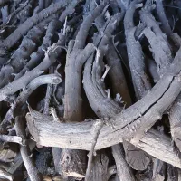 زغال کبابی سیب