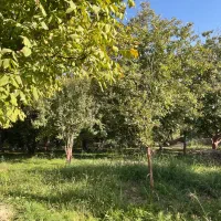باغچه با بنا و مجوز ساخت بنا فروشی