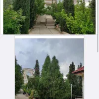 پاسارگاد ملکی//۲۳۰متری