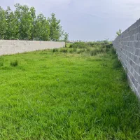 کارشناس فروش برای زمین