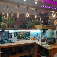 واگذاری کافی شاپ گالری|فروش مغازه و غرفه|جهرم, |دیوار