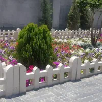 خدمات باغبانی و فروش گیاهان زینتی
