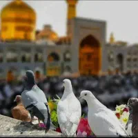 تور در ماه مهر