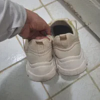 کیف و کفش .|کیف، کفش، کمربند|پرند, فاز ۶|دیوار