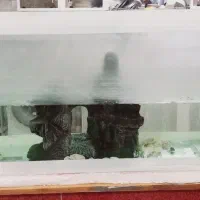 آکواریوم زیبا و سالم