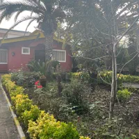 فروش ویلا باغ شهرکی ۶۰۰متری در منطقه نمک آبرود