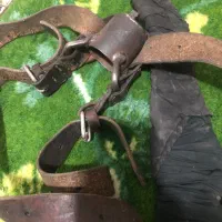 هیکلی و کمربند علامت و‌چلچراغ