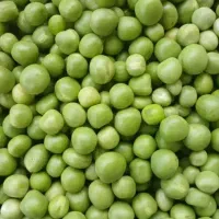 نخود سبز تازه چین
