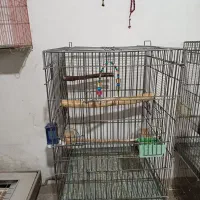 قفس بزرگ|لوازم جانبی حیوانات|کرج, آق تپه|دیوار