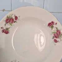 بشقاب غذا خوری و سوپ خوری