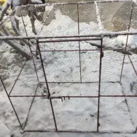 قفس پرنده و کبوتر و مرغ عشق