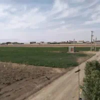 زمین-مناسب-جهت-احداث-باغ-جنب-مجتمع-قارچ-ماهیدشت
