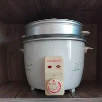 پلوپز بخارپز وآرام پز