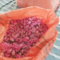فروش گل محمدی خرده و عمده درجه یک