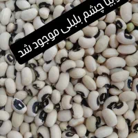 لوبیا چشم بلبلی برداشت پاییزه محلی|خوردنی و آشامیدنی|تهران, میدان ولیعصر|دیوار