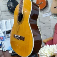 گیتار|گیتار، بیس، امپلیفایر|شوش, |دیوار