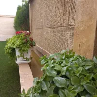 اجاره-سوئیت-در-کوشش