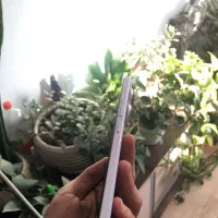 poco m7 pro 256/12|موبایل|کرج, شهرک بنفشه|دیوار